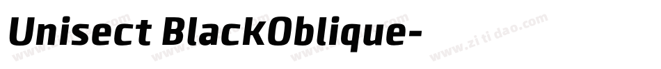 Unisect BlackOblique字体转换
